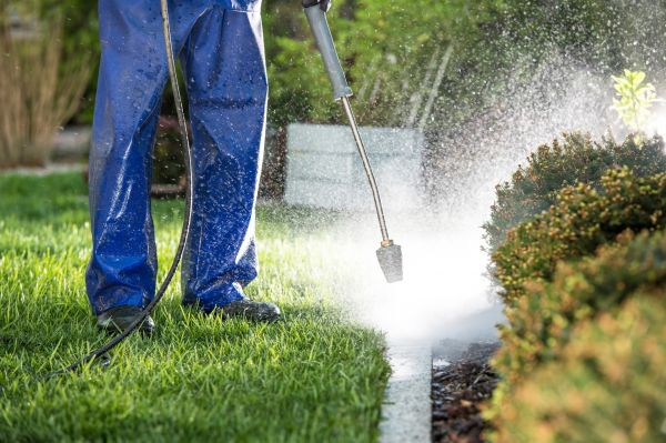 Cost of Curb Cleaning in Saint Johns