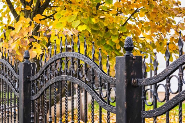 Wrought Iron Fence Washing in Saint Johns
