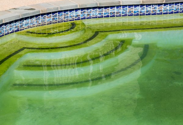 Pool Deck Algae Removal in Saint Johns