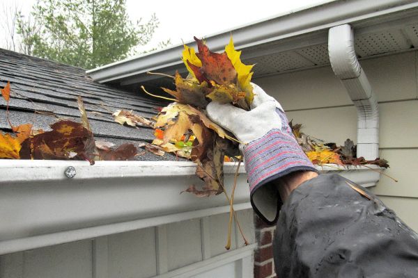 Cost of Eaves Cleaning in Saint Johns