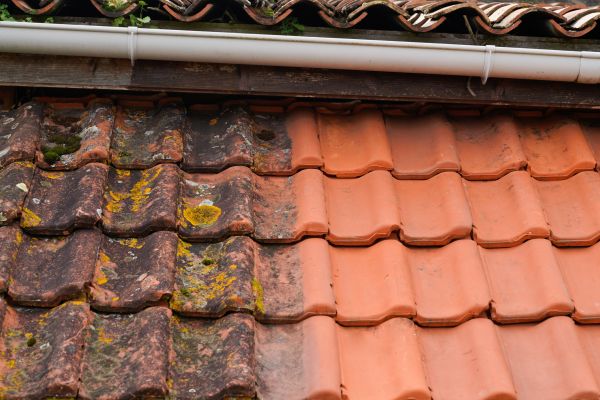 Industrial Roof Cleaning in Saint Johns