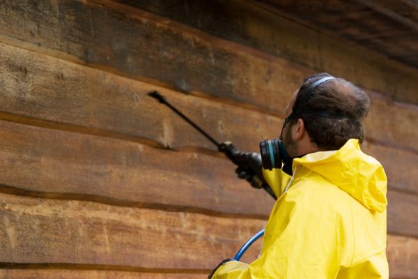 Cedar Siding Washing in Saint Johns