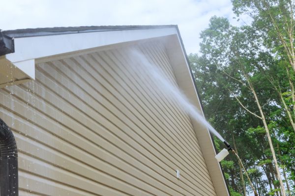 Cost of Siding Cleaning Service in Saint Johns